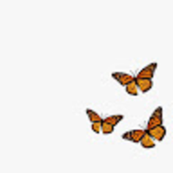 lydiamia15